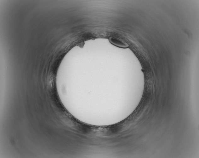 X0000111390125200908071304