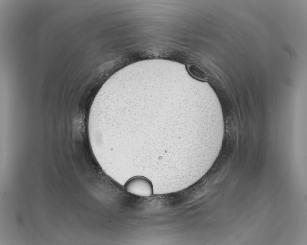 X0000111390127200908071304