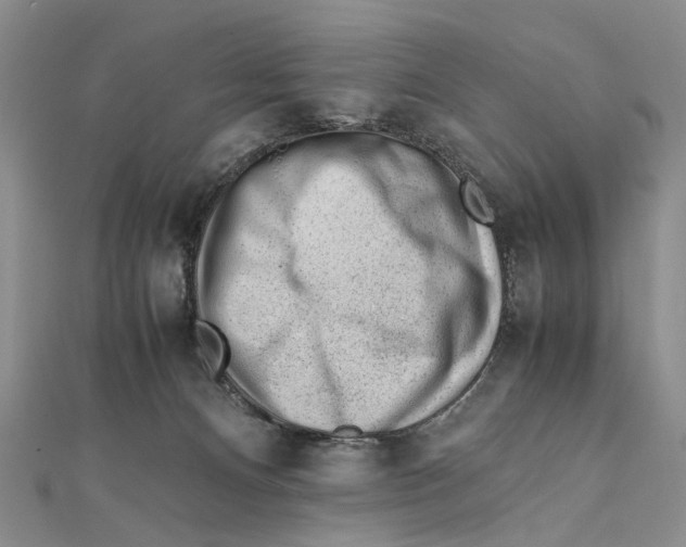 X0000111390128200908071304