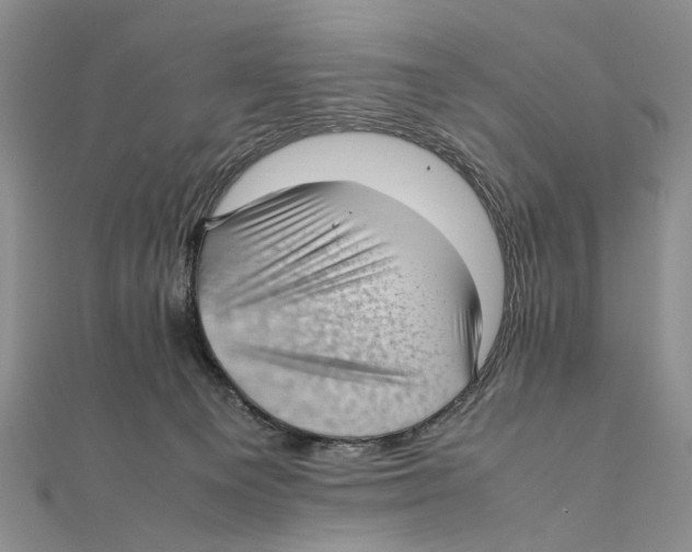 X0000111390129200908071304
