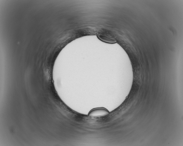 X0000111390131200908071304