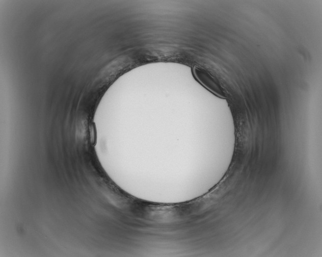 X0000111390132200908071304