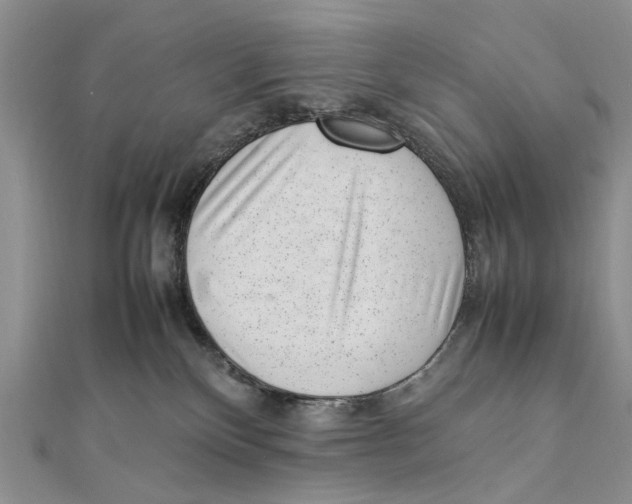 X0000111390136200908071304