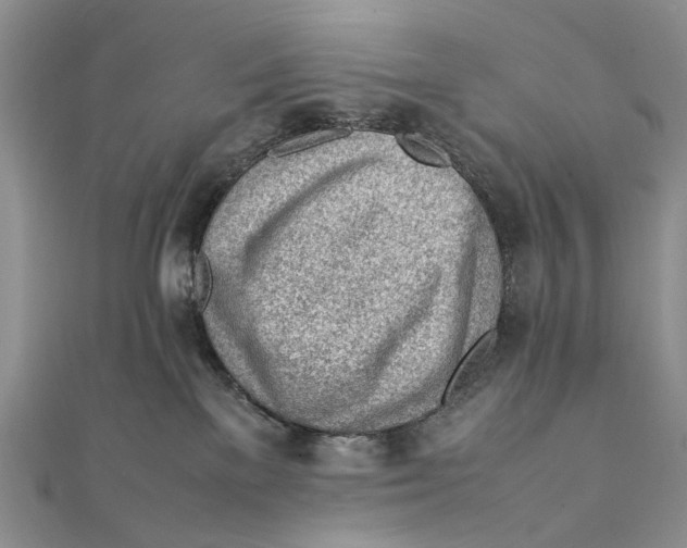 X0000111390137200908071304