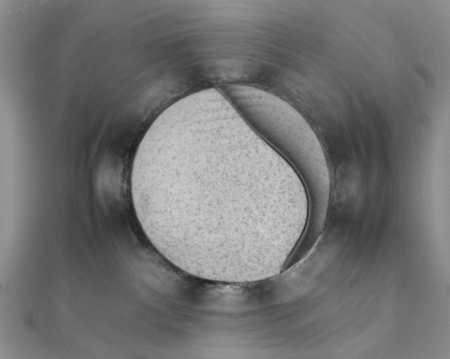 X0000111390140200908071304