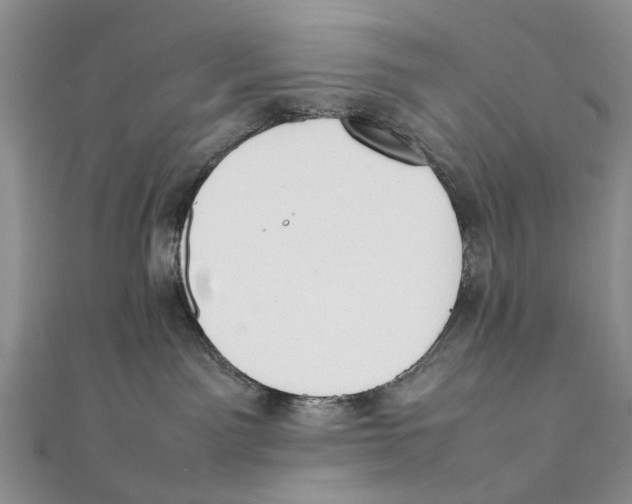 X0000111390141200908071304