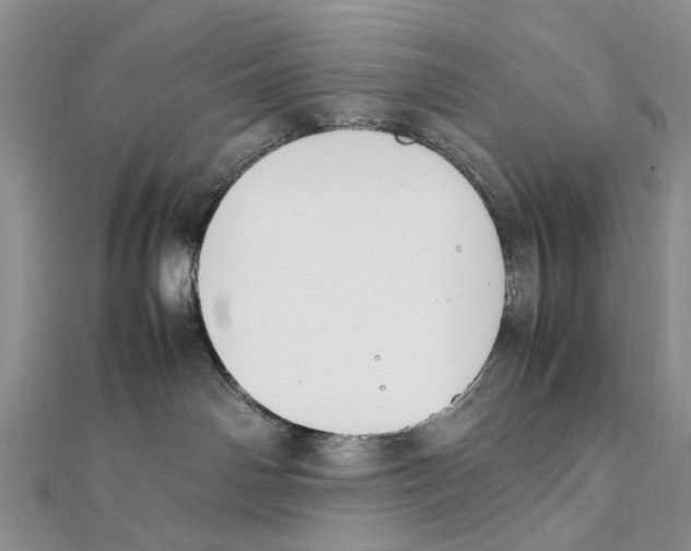 X0000111390142200908071304