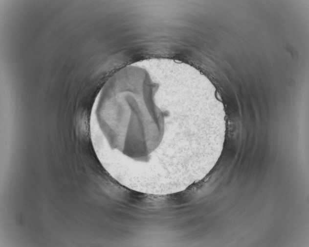 X0000111390143200908071304