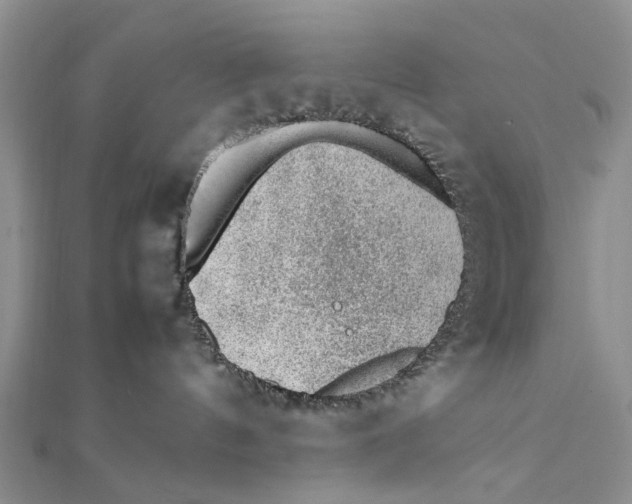 X0000111390144200908071304