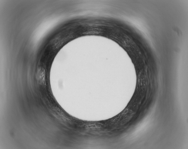 X0000111390146200908071303