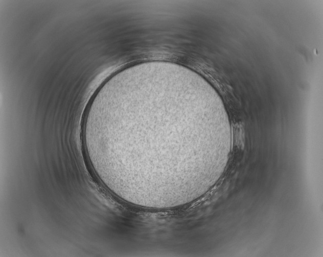 X0000111390147200908071303
