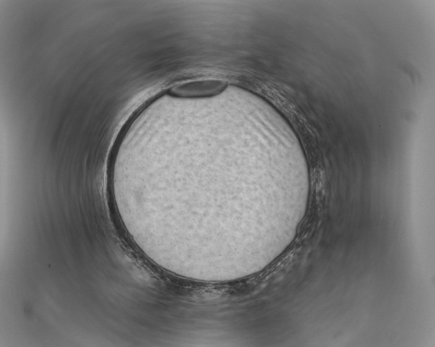 X0000111390148200908071303