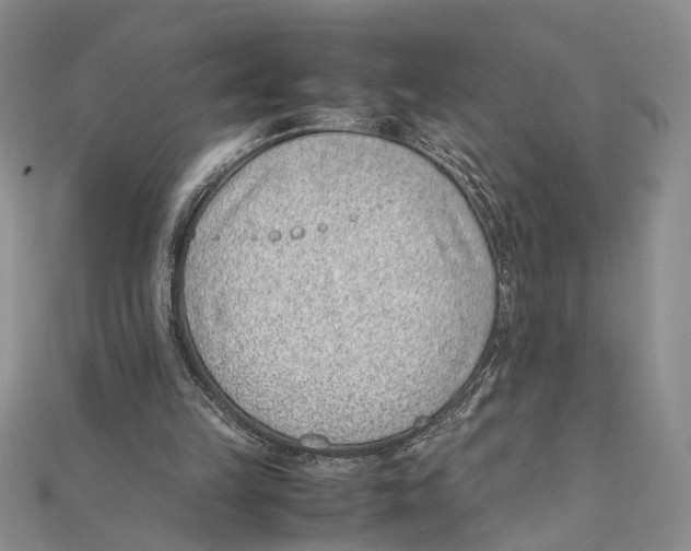 X0000111390149200908071303