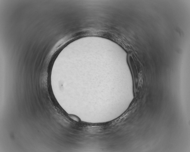 X0000111390150200908071303