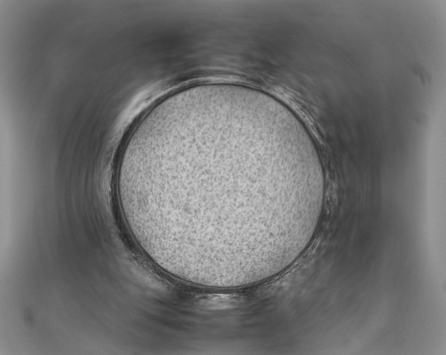 X0000111390151200908071303