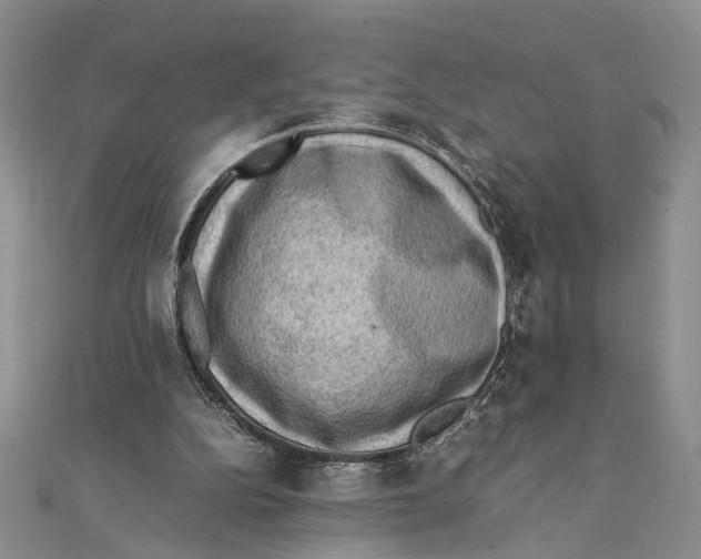 X0000111390152200908071303