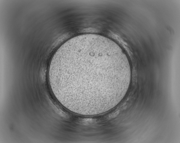 X0000111390153200908071303