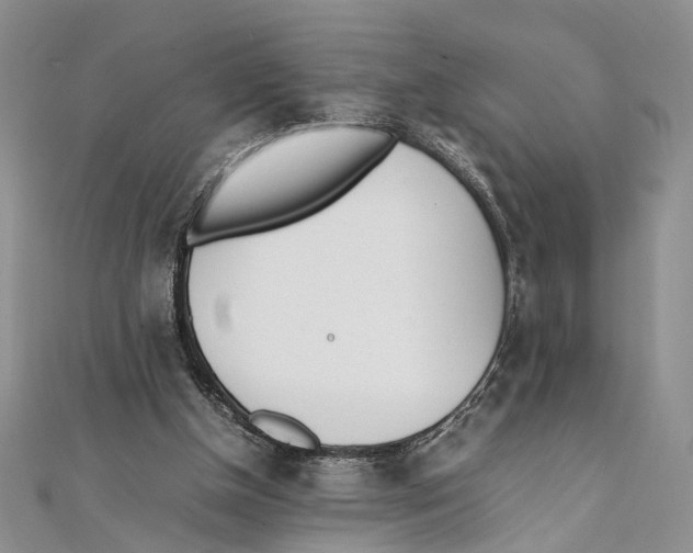 X0000111390154200908071303