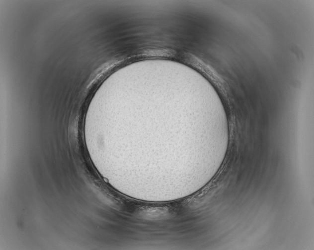 X0000111390155200908071303