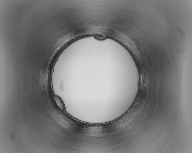 X0000111390156200908071303