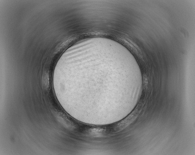 X0000111390158200908071303