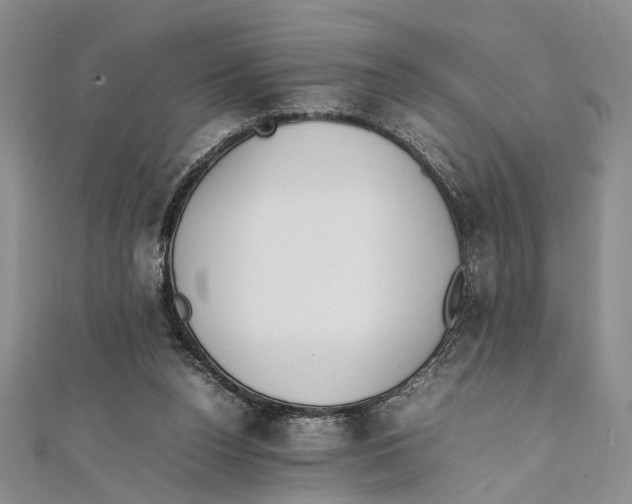 X0000111390160200908071303
