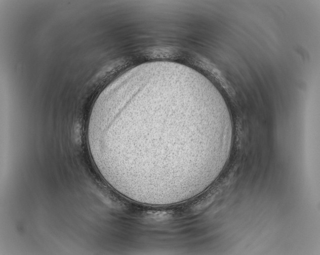 X0000111390161200908071303