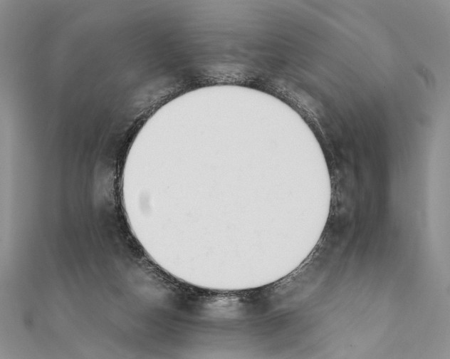 X0000111390162200908071303
