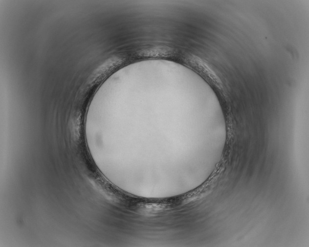 X0000111390163200908071303