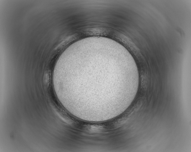 X0000111390165200908071303