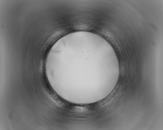 X0000111390167200908071303