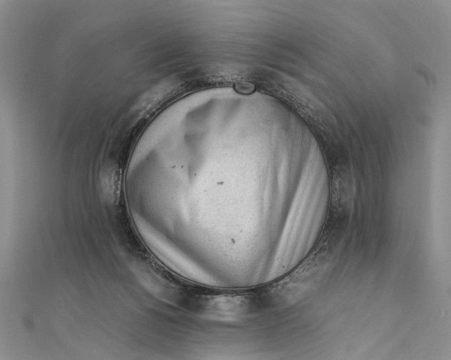 X0000111390168200908071303