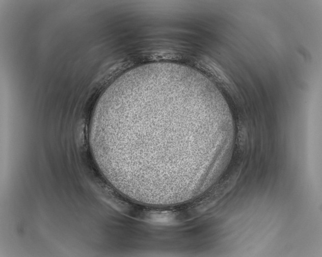 X0000111390169200908071303