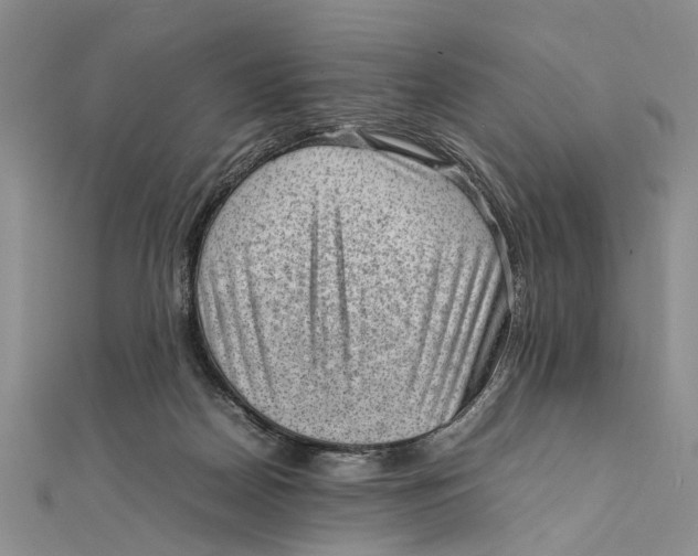 X0000111390170200908071303