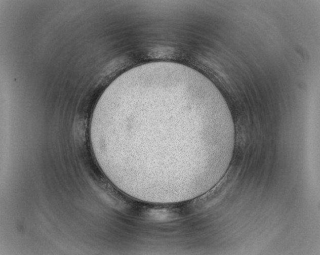 X0000111390171200908071303