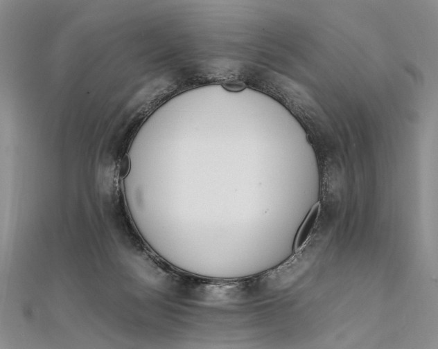 X0000111390172200908071303