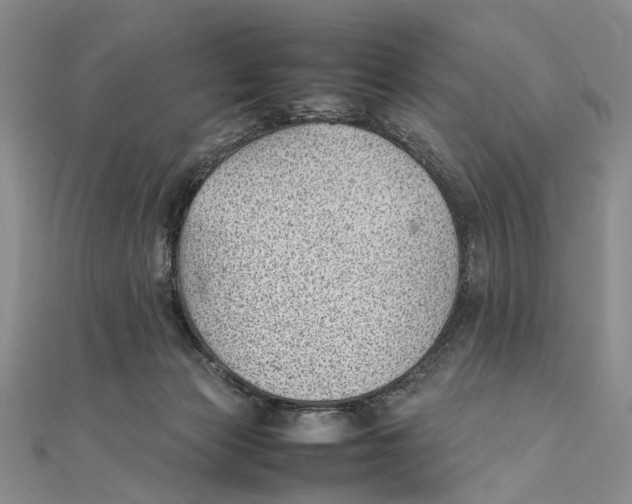 X0000111390173200908071303