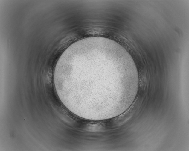 X0000111390175200908071303