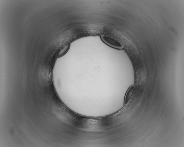 X0000111390176200908071303