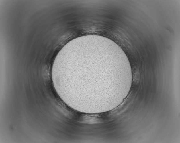 X0000111390179200908071303