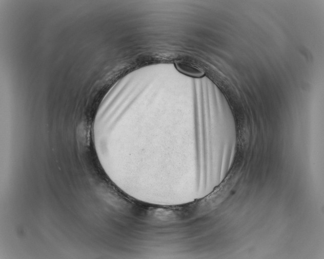X0000111390180200908071303