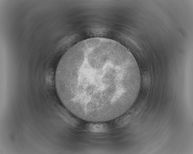 X0000111390181200908071303