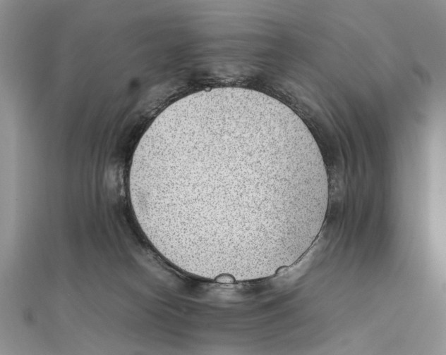 X0000111390182200908071303