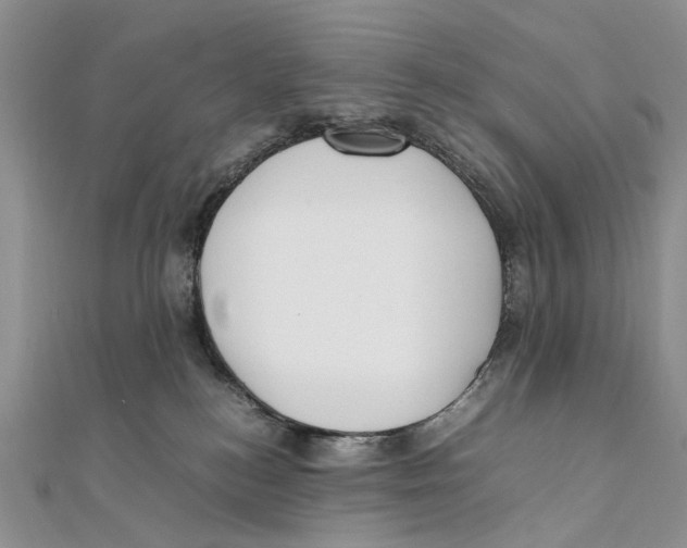 X0000111390184200908071304