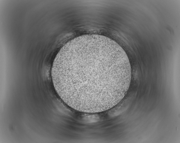 X0000111390185200908071304