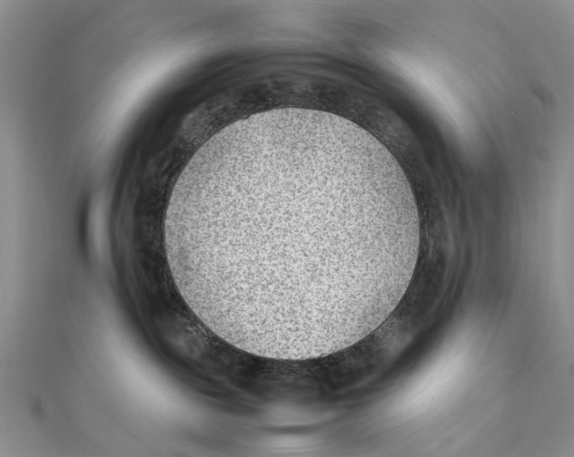 X0000111390189200908071304