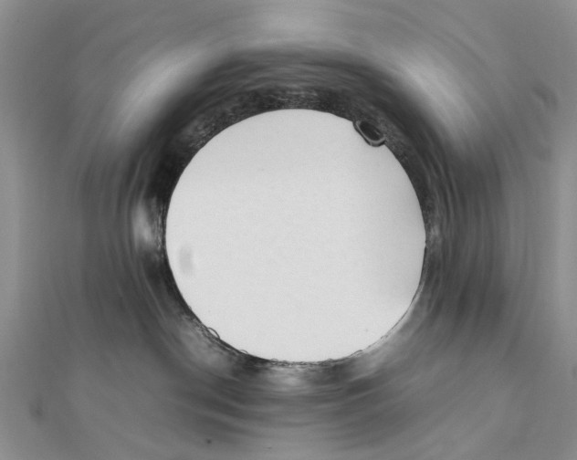 X0000111390190200908071304