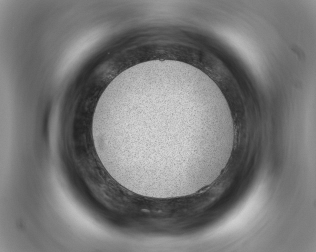 X0000111390191200908071304