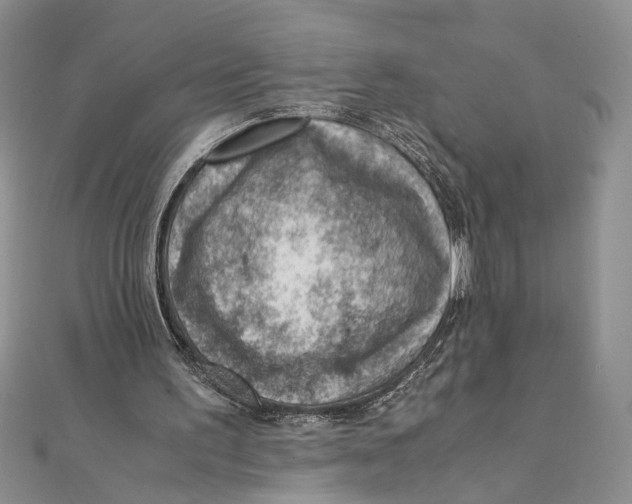 X0000111390195200908071303