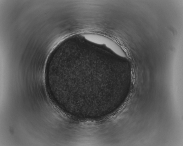 X0000111390196200908071303